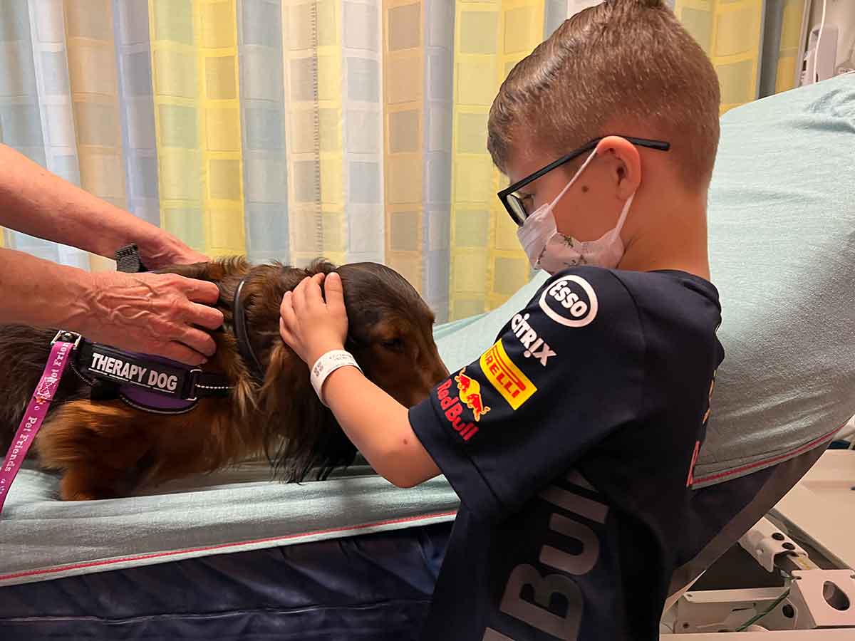 Boy petting a therapy dog on a hospital bed.
