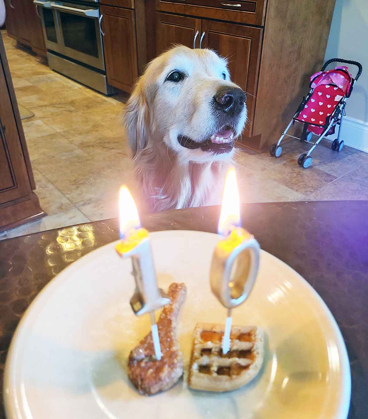 Golden retriever dog in front of number "10" lit birthday candles.
