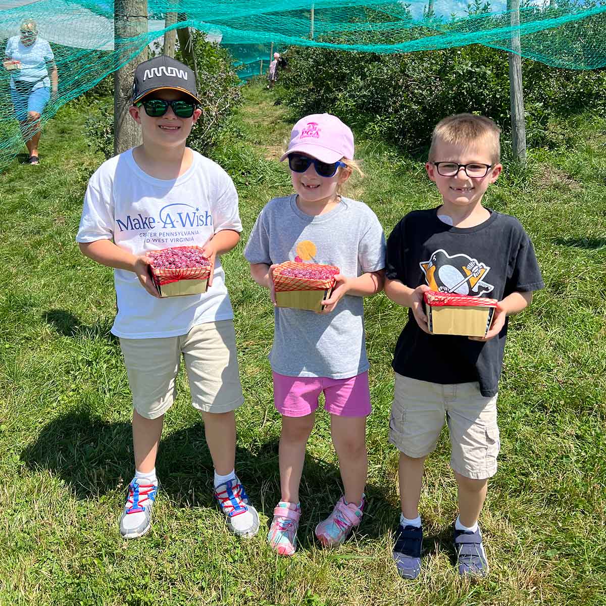 Three kids holding quarts of blueberries in front of a blueberry patch.