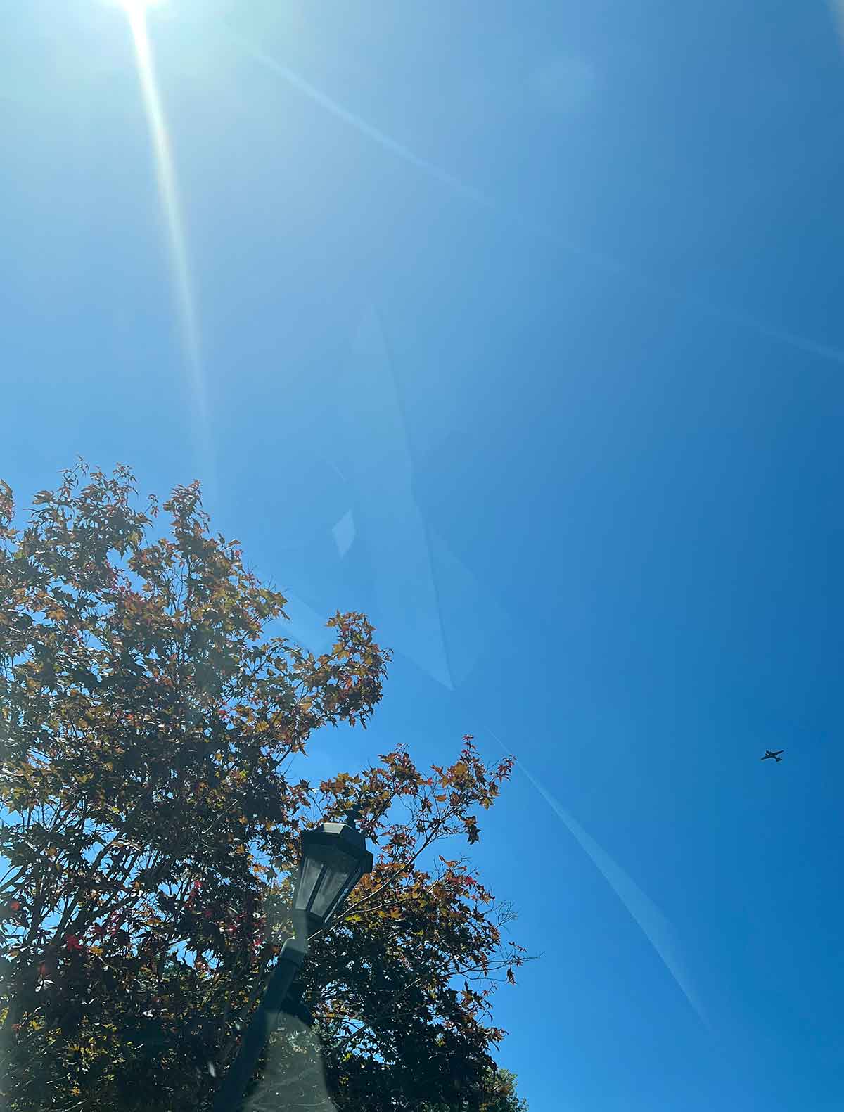 Blue sky with sunlight streaming from the upper left corner and trees on the bottom.