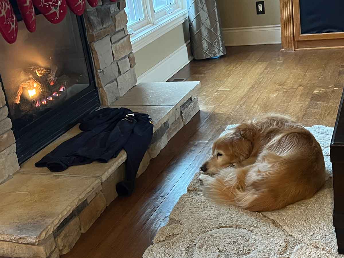 Golden Retriever dog laying in front of a fireplace.