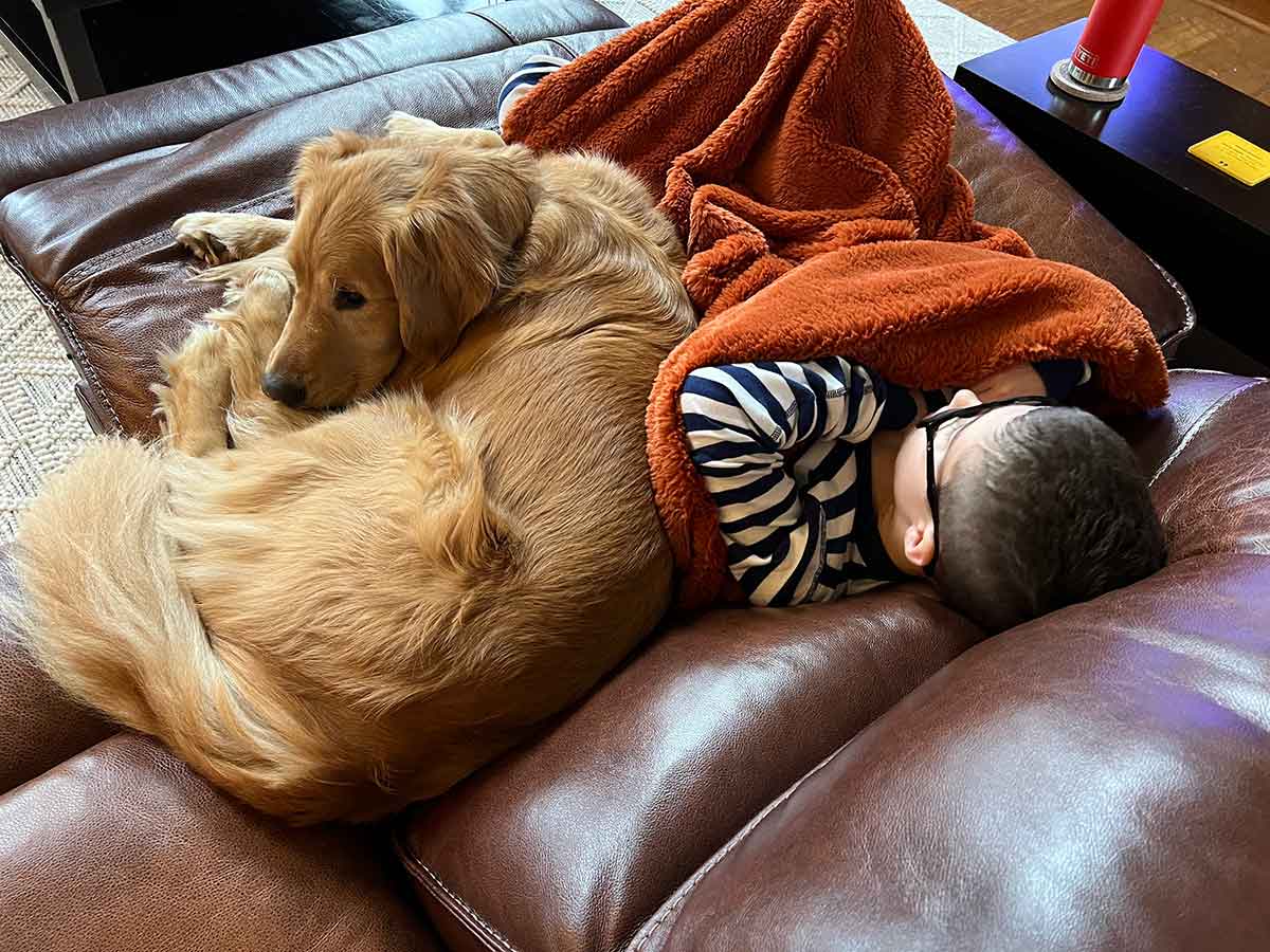 Boy on a couch reclining under an orange blanket with a Golden Retriever next to him.