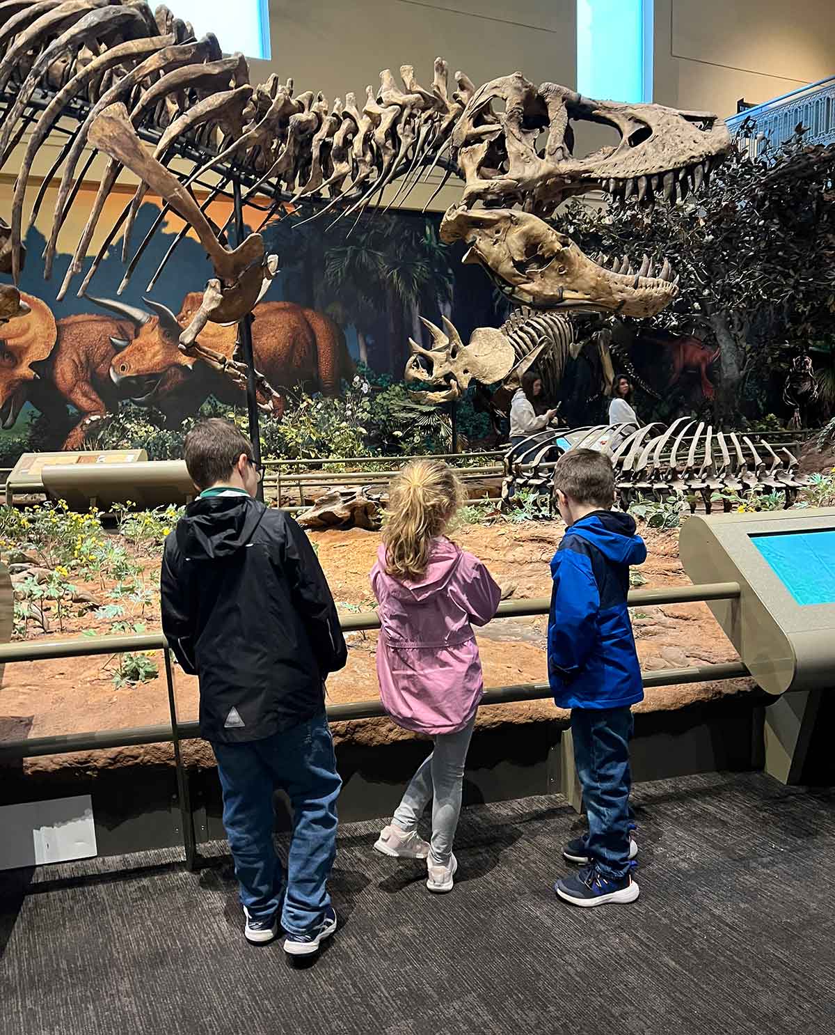 Two boys and a girl looking at a dinosaur exhibit in a museum.