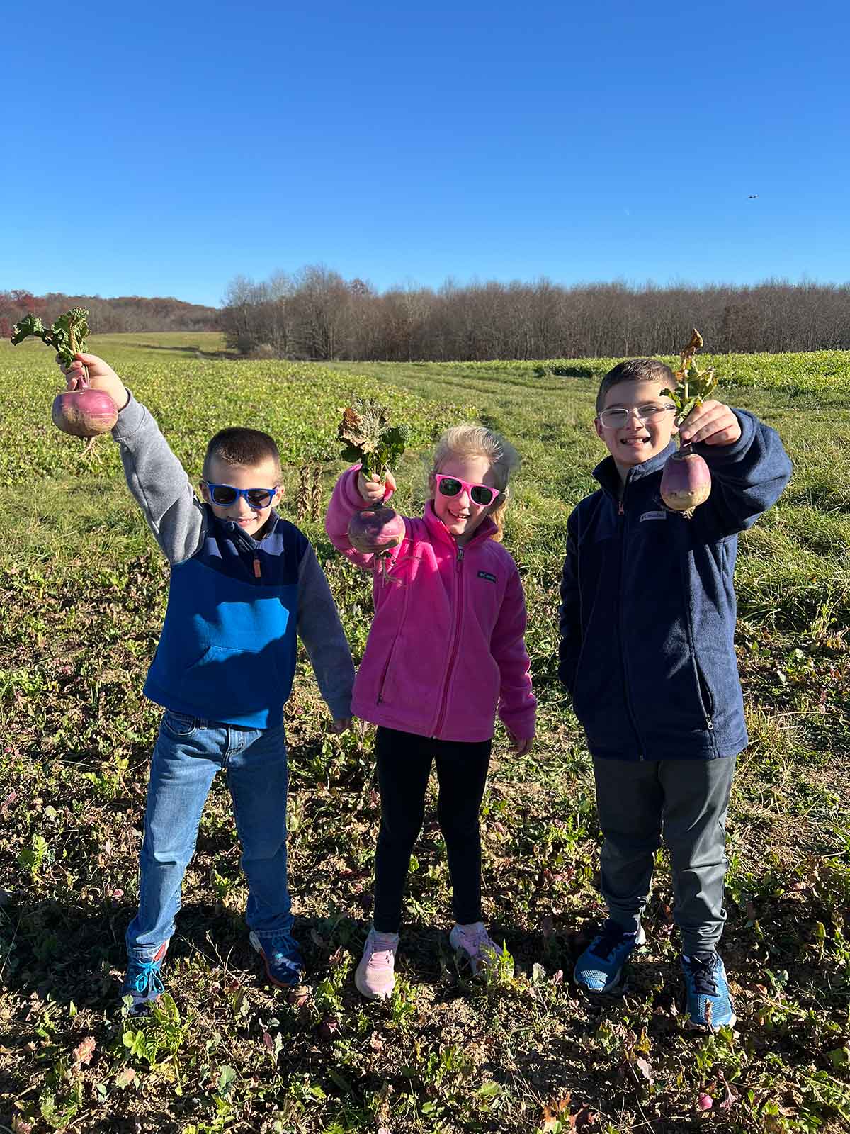 Three kids in a field on a farm holding up radishes.