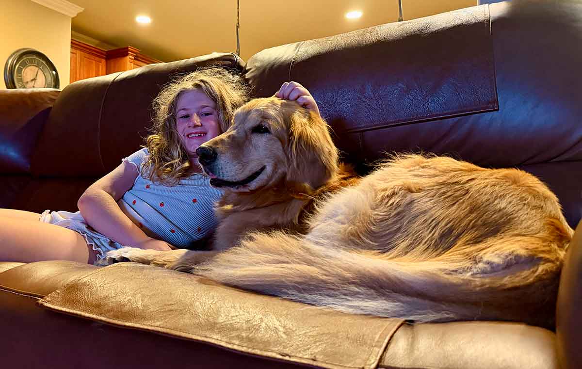 A girl and a golden retriever dog cuddling on a couch.